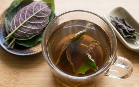 Cách dùng lá mơ lông cho người bị trào ngược dạ dày