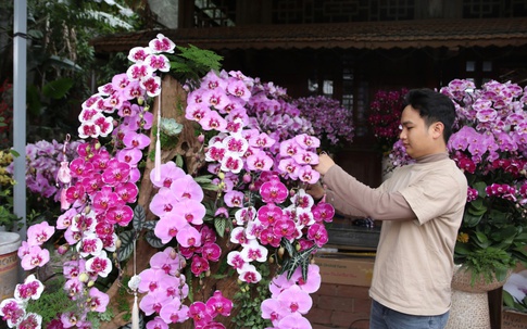 'Hái ra tiền' nghề cắm hoa Tết, cao điểm thu 4-5 triệu đồng/ngày