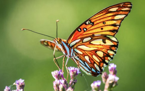 Sống tốt chưa chắc bằng sinh đúng ngày: 4 ngày Âm lịch đại cát, phúc lộc kéo dài nhiều thế hệ