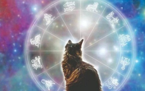 5 con giáp phạm Thái Tuế năm 2026 và cách cúng giải hạn hiệu quả