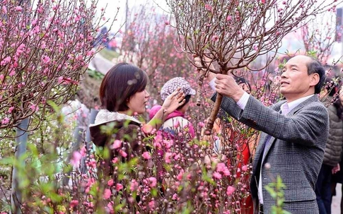 Thời tiết ngày 15/2: Miền Bắc nắng ấm trước khi đón đợt không khí lạnh mới