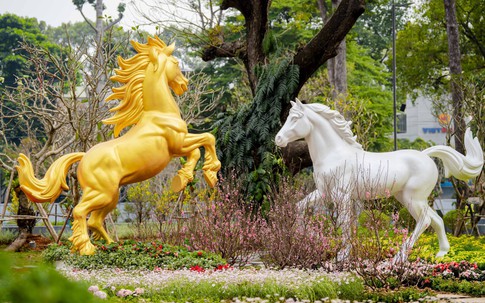 'Biểu tượng xanh' mới của TPHCM – giữ từng gốc cây, bảo tồn từng chi tiết cổ