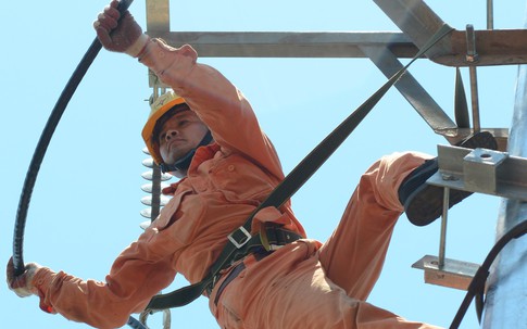 Lịch cúp điện Đồng Tháp từ ngày 23/2 - 1/3/2026: Cúp điện hơn 10 tiếng/ngày hàng loạt khu dân cư để sửa chữa