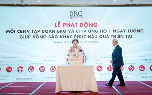 Madame Nguyễn Thị Nga và Tập đoàn BRG vinh dự được trao tặng Bằng khen của Thủ tướng Chính phủ