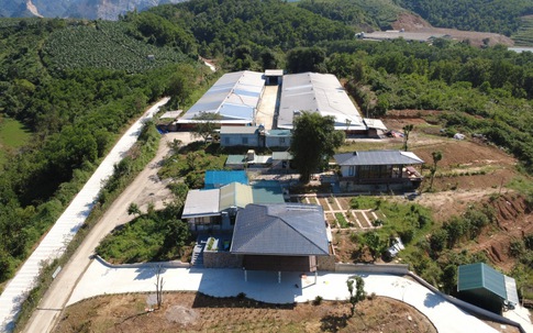 Sau phản ánh của Gia đình và Xã hội, Phú Thọ yêu cầu xác minh các trang trại chăn nuôi tại Cao Dương