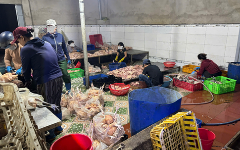 Phát hiện cơ sở giết mổ gia cầm trữ 10 tấn thịt gà không nguồn gốc, xuất xứ 