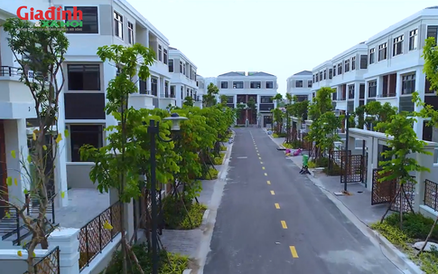 Tháng 2/2026, giá nhà phố thương mại tại 2 phường Tây Hồ và Phú Thượng tăng nhiệt ngay dịp cận Tết Nguyên đán 