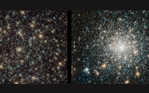 Phát hiện rùng mình về “sinh vật bất tử” của vũ trụ