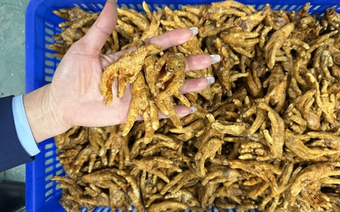 Phát hoảng hơn 6 tấn chân gà không rõ nguồn gốc trong kho hàng