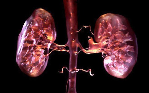 4 nguyên nhân làm tăng nguy cơ suy thận trong mùa lạnh, người Việt cần biết để tránh mắc bệnh