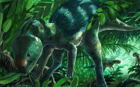 Lộ diện sinh vật lạ chứng minh khoa học "lạc đường"