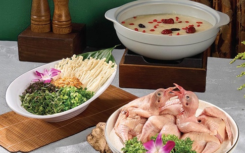 Chim bồ câu – 'đạm vàng' được ví như thực phẩm bồi bổ cao cấp cho cơ thể