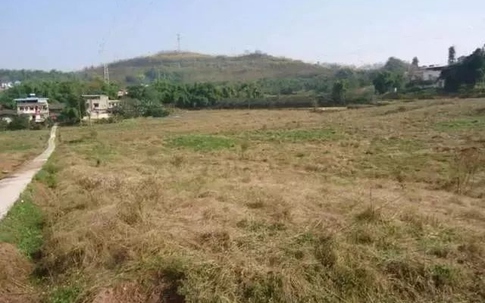 Mẹ nuôi di chúc cho hai con gái ruột nhà và tiền, tôi được mảnh đất hoang: 2 năm sau tôi đổi đời