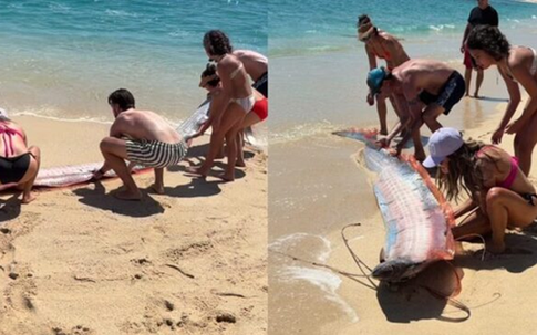 Đang dạo biển, người dân phát hiện cảnh tượng "bí ẩn" ập đến bất ngờ