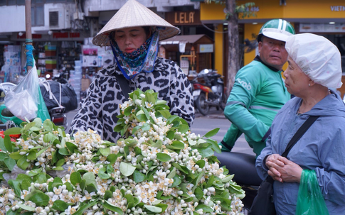 Hoa bưởi tháng Ba thơm ngát thanh tao, giá cao nhưng vẫn đắt hàng