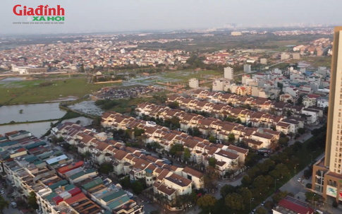 Hà Nội: Bất ngờ trước giá cho thuê biệt thự tại 3 xã Đan Phượng, Ô Diên và Liên Minh tháng 3/2026