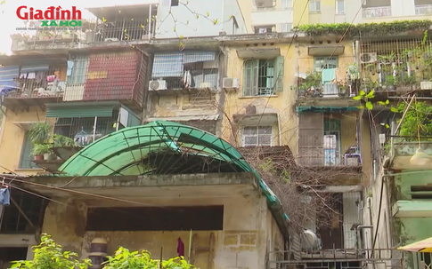 Hà Nội: Giá cho thuê không ngờ tới loạt nhà tập thể tại 5 phường Đống Đa, Kim Liên, Văn Miếu – Quốc Tử Giám, Láng và Ô Chợ Dừa