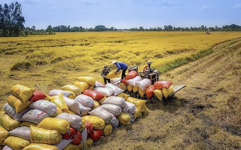 Xung đột Trung Đông, Bộ Công thương chỉ thị tăng cường giải pháp thúc đẩy sản xuất, xuất khẩu gạo trong tình hình mới