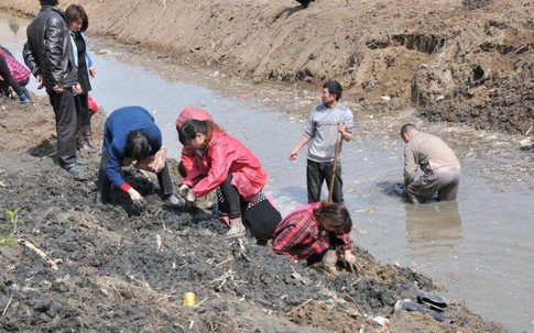 Công trường dừng thi công khẩn cấp vì máy xúc đào trúng vật cứng chứa hiện vật nặng hơn 100kg, con mương rộng 6m bị phong tỏa