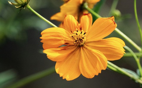 Ba khung giờ sinh 'giàu muộn': Càng qua tuổi 40 càng nhiều tiền