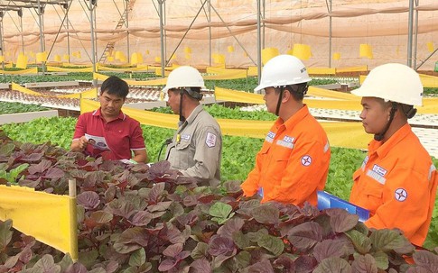 Lịch cúp điện Đồng Tháp (Tiền Giang cũ) tuần này (từ 23 - 29/3/2026): Những khu dân cư nào sẽ bị mất điện cả ngày?