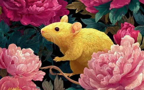 Trẻ khó khăn đừng vội nản: 3 con giáp này lớn tuổi mới phát tài