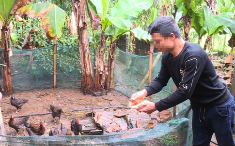 Giấc mơ đổi đời khép lại trong cay đắng và nợ nần