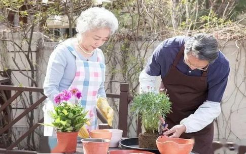 Bước vào tuổi 70: Sở hữu 4 điều này, bạn chính là người hạnh phúc nhất thế gian
