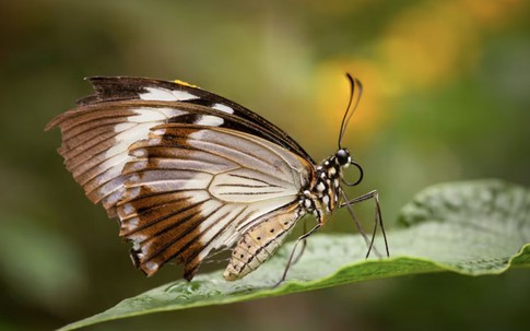 Khung giờ sinh quyết định hậu vận? Đây là những thời điểm mang nhiều điềm lành