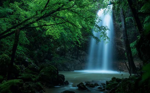 Sinh đúng giờ 'hoàng kim', 3 con giáp này hưởng trọn phú quý, dễ thành đại gia