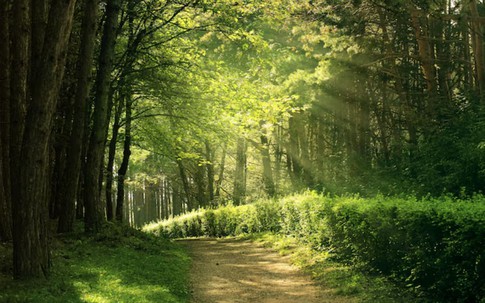 Giờ sinh Âm lịch của đứa trẻ vượng khí: Lớn lên dễ làm rạng danh cha mẹ