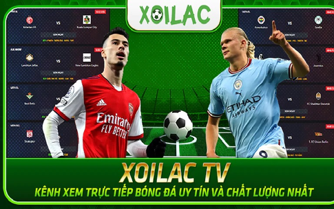 Triệt phá 'đế chế' web lậu Xôi Lạc TV, khởi tố 30 bị can