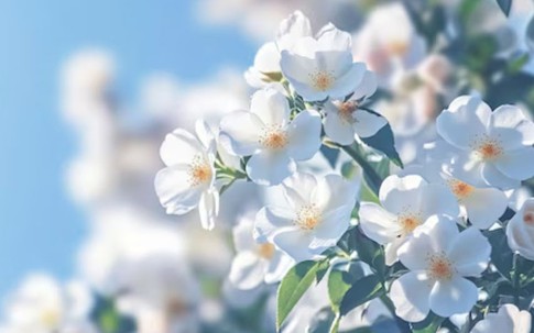 Số cuối ngày sinh Âm lịch hé lộ tiềm năng của một đứa trẻ: 4 con số dễ làm nên nghiệp lớn