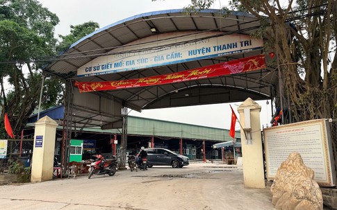 Vụ gần 300 tấn thịt lợn nhiễm dịch tả châu Phi đưa vào trường học: Phát lộ sổ ghi chép 'ăn chia' theo tháng giữa các đối tượng