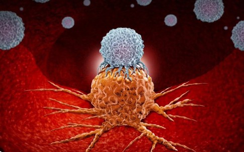 Hẹp bao quy đầu có làm tăng nguy cơ ung thư dương vật?