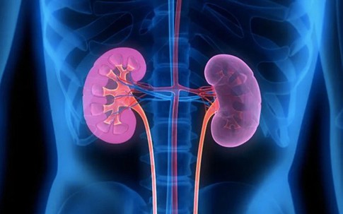 Nắng nóng, 6 việc người Việt nên làm để phòng ngừa nguy cơ suy thận và bệnh lý đường tiết niệu