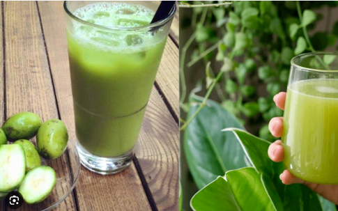 Cách làm nước ép cóc uống tăng cường miễn dịch