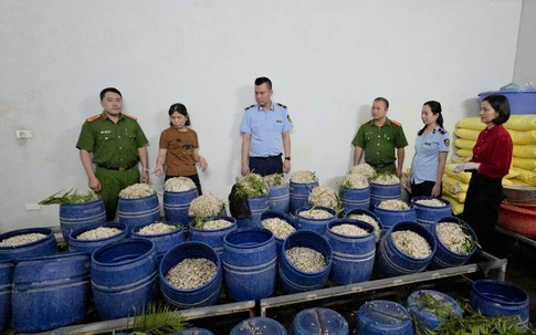 Quảng Ninh: Bắt chủ 2 cơ sở bán 160 tấn giá đỗ ngâm chất tăng trưởng