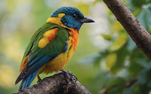 Tháng sinh Âm lịch của người có ý chí thép, dễ đạt thành tựu lớn