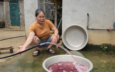 Phạt trang trại nuôi lợn hơn 400 triệu đồng vì xả thải vượt quy chuẩn