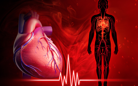 7 cách tăng cường sức khỏe tim mạch, bảo vệ trái tim từ sớm