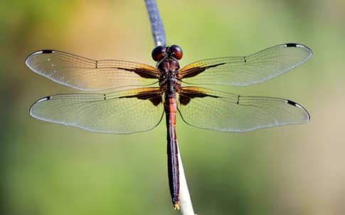 3 khung giờ sinh Âm lịch của đàn ông bị cho là "số khổ": Càng về sau càng thấm