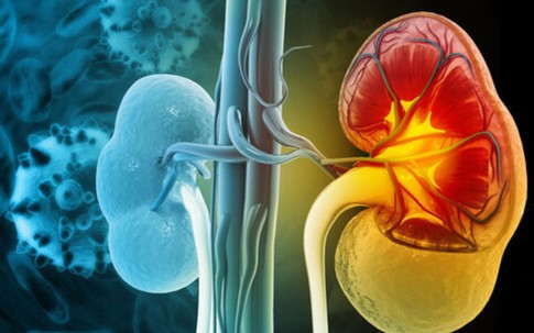 Loại củ quen thuộc đang bán nhiều ở chợ Việt, người bệnh suy thận cần lưu ý khi ăn để ngừa biến chứng