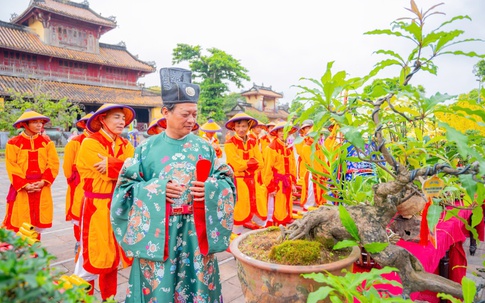 Chiêm ngưỡng những tác phẩm phong lan, cây kiểng tuyệt đẹp được dâng tiến vào Hoàng cung Huế
