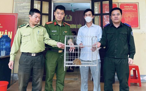 Người dân tự nguyện giao nộp nhiều cá thể động vật quý hiếm