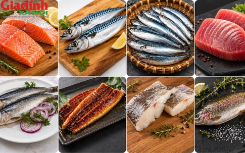 Những loại cá giàu vitamin D nên bổ sung hàng tuần