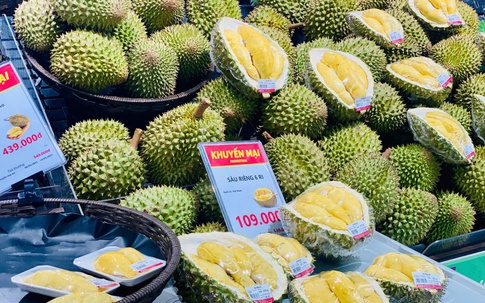 Loại quả được ví là ‘vua trái cây’ của Việt Nam hương vị thơm ngon khó cưỡng, có giá trị xuất khẩu lên tới cả tỷ USD