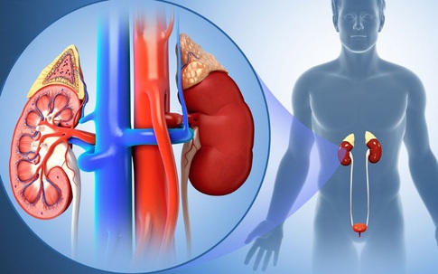 Dinh dưỡng cho người bệnh suy thận: Ăn đúng cách giúp làm chậm tiến triển bệnh
