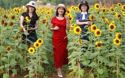 Nghỉ lễ 30/4, xách balo đi đâu cho 'đã', không lo đau ví?