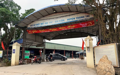 Vụ gần 300 tấn thịt lợn nhiễm dịch tả châu Phi: Ngoài Công ty Suất ăn Công nghiệp Hà Nội, thêm 3 công ty 'tuồn' lợn bệnh vào 26 trường học